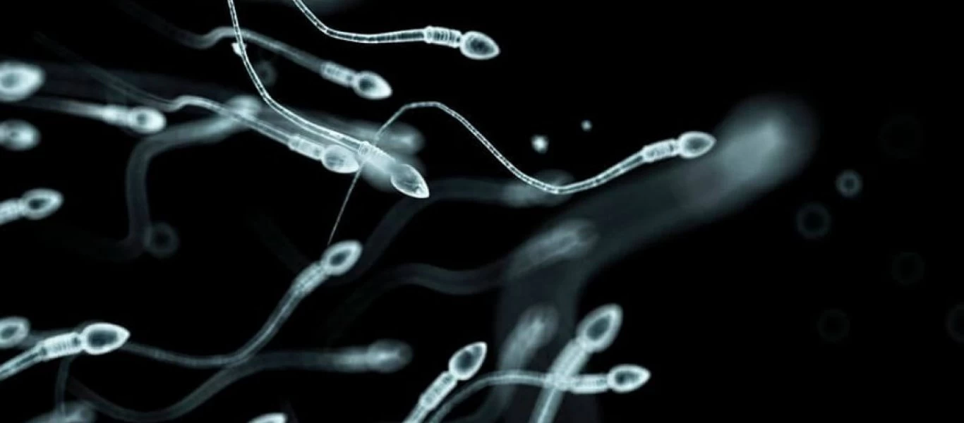 Παλίνδρομη εκσπερμάτιση: Από τι μπορεί να προκληθεί & πως αντιμετωπίζεται